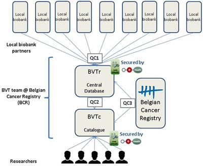 The Belgian Virtual Tumorbank: A Tool for Translational Cancer Research